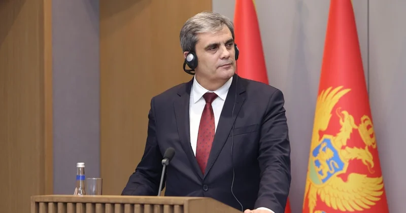 İbrahimoviç: Azərbaycan və Monteneqro müntəzəm reyslərin açılmasını müzakirə edib