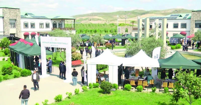 Aqrar festivallar dövlətin kəndə dəstəyini nümayiş etdirir