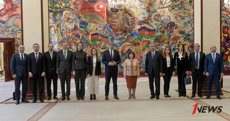 Гафарова обсудила с Ибрагимовичем межпарламентское сотрудничество Баку и Подгорицы