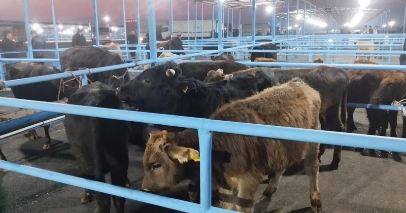 Bu bazar yenidən AÇILDI