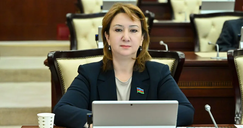 İkili standartlar fonunda qətnamə siyasəti