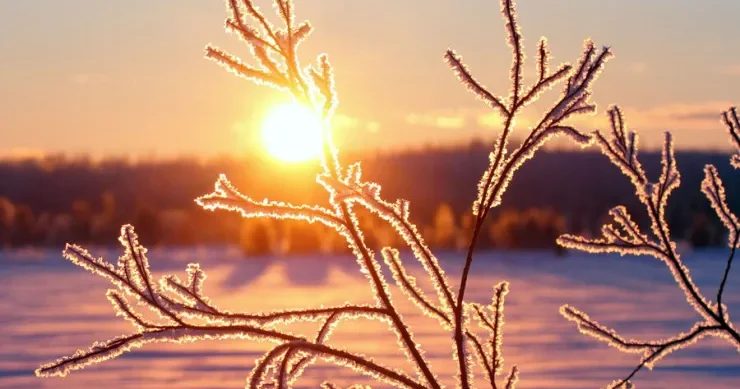 Bu şəhərdə sadəcə 18 dəqiqə gündüz olacaq