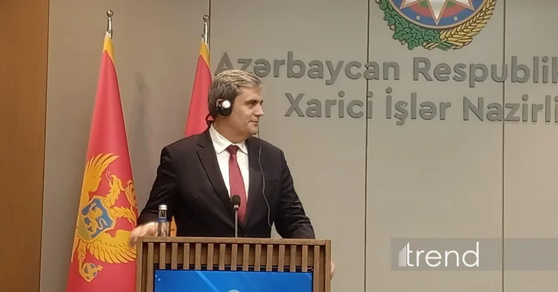 Монтенегро положительно оценивает Вашингтонское соглашение глава МИД