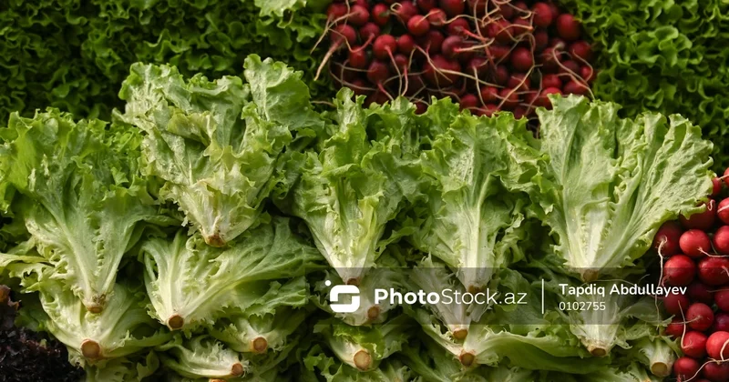 Yerli bazarlarda kahı böhranı: Almaniyadan tədarük qiymətlərə təsir edəcək?