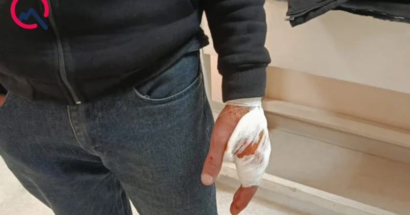 Şəkidə canavar kəndə hücum etdi Xəsarət alanlar var