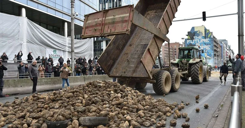 Brüsseldə “kartof inqilabı” Paytaxt yolları tarlaya döndü FOTO VİDEO