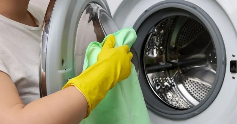 Paltaryuyan maşının bu hissəsini təmizləyin Bakteriyalar paltarlara yapışır