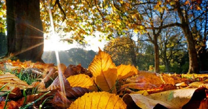 Bazar gününün hava proqnozu açıqlandı Bəzi yerlərdə yağış yağacaq