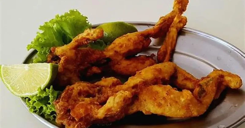 Qurbağa əti trenddədir, bəs dini baxımdan halaldır? AÇIQLAMA