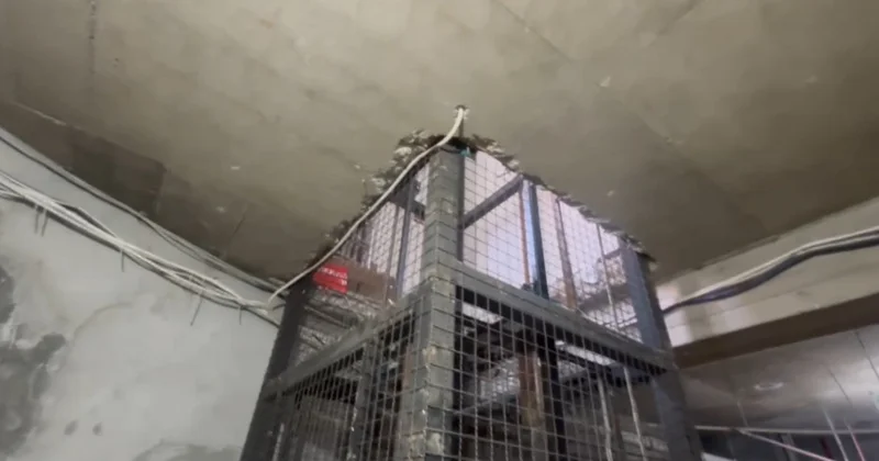 Nazirlik “Baku Electronics”in mağazasını bağladı GÖRÜNTÜLƏR