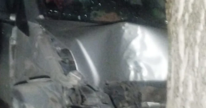 В Огузе произошло смертельное ДТП ФОТО