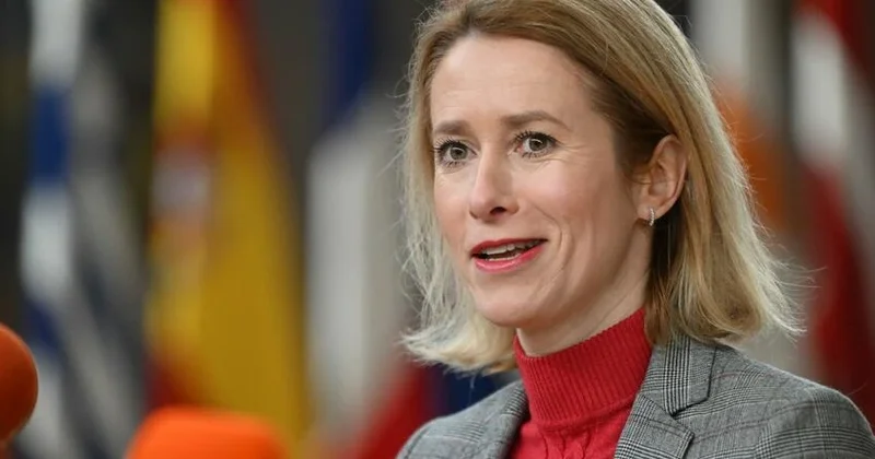 Kallas işlətdiyi ifadəyə görə üzr istədi