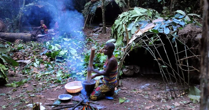 Ovçu yığıcıların qədim DNT si uzunömürlülüyün sirrini açdı