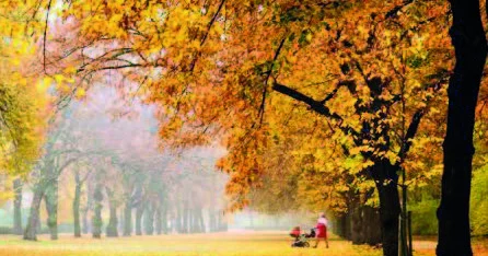 Payızın son şənbəsi: gündüz yağmursuz, gecə çiskinli...