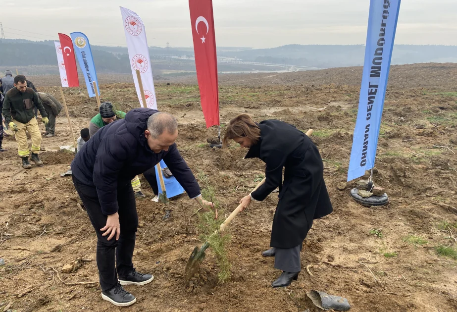 Baş konsulluğumuzun təşəbbüsü ilə İstanbulda ağacəkmə aksiyası keçirilib AZƏRTAC