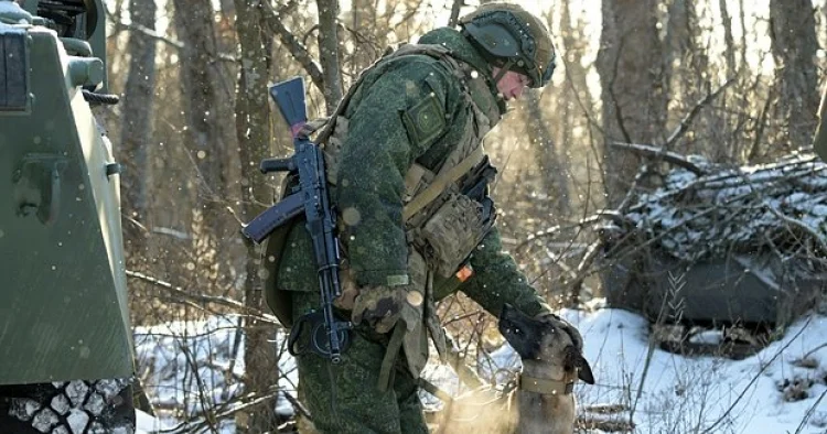 Sumı cəbhəsində şiddətli döyüşlər gedir