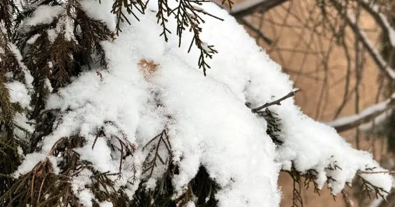 Обнародован прогноз погоды в Кыргызстане на 22 января