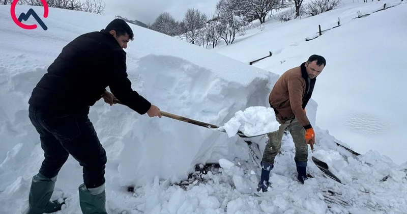 “Ölsək, heç kimin xəbəri olmayacaq” Pəncəlinin qardaşı Video