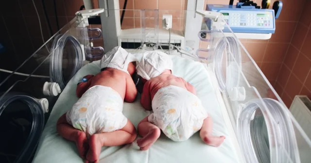 Azərbaycanda əkizlərin sayı azalıb, dördəmlər isə...