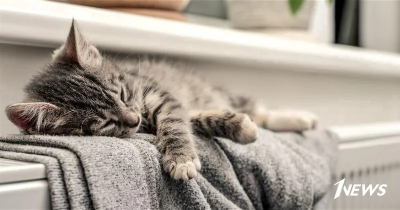 Погода на четверг: В Баку температура воздуха опустится ниже нуля