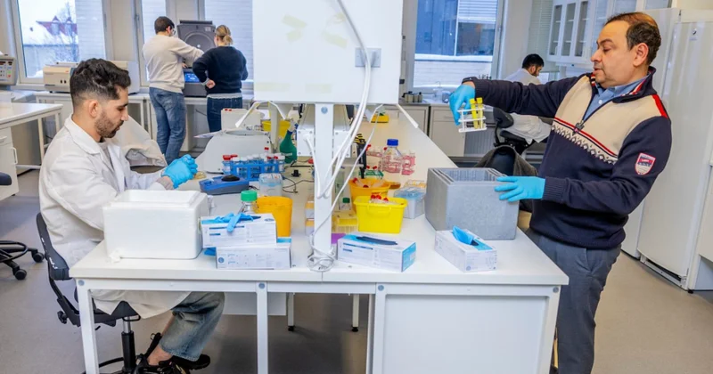 Норвежские исследователи создали технологию быстрой диагностики инфекций