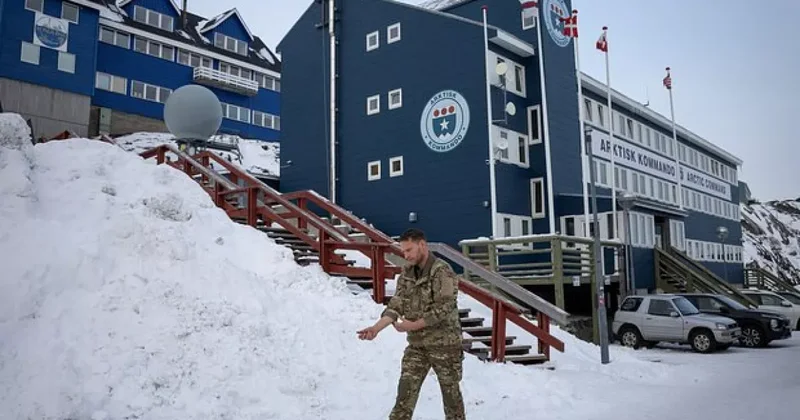 Reuters: Франция запросила учения НАТО в Гренландии