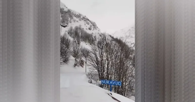 Lerikdə qar yolu bağlasa da, texnika iş başında VİDEO