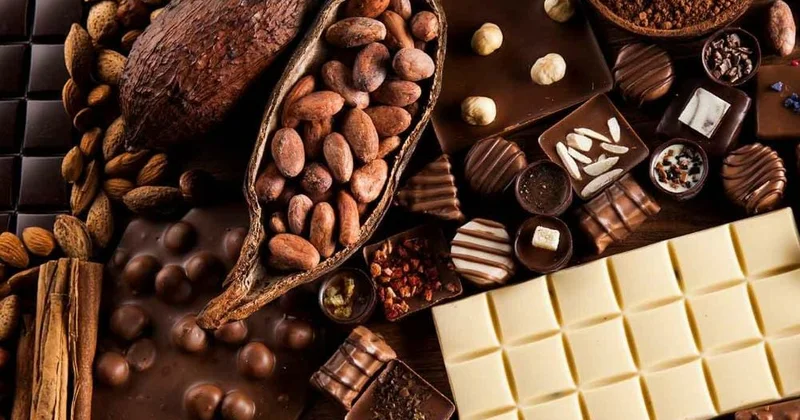 Regionun ən böyük şokolad fabriki Ermənistanda açılacaq