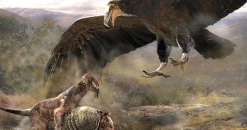 Yer üzünün tarixində ən ağır uçan quşun adı açıqlandı