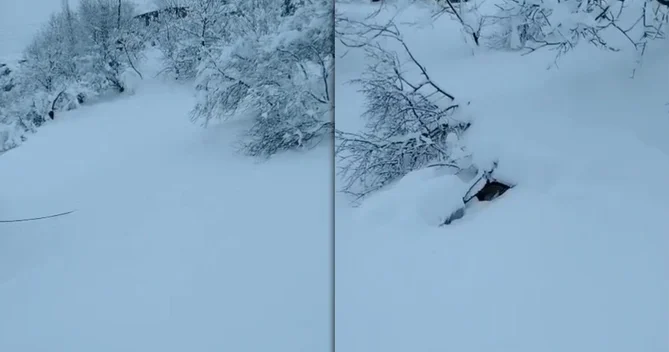 Yardımlıda qar çətinliklər yaratdı İşıq, yol və internet yoxdur