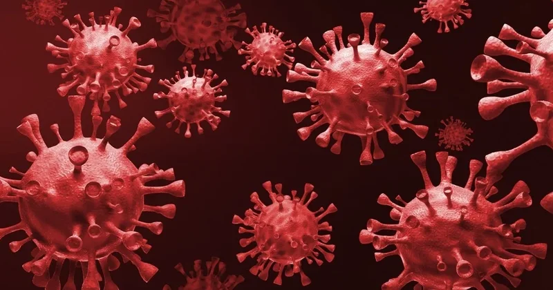 Dünyada tüğyan edən virus infeksiyalarından necə qorunmalı?