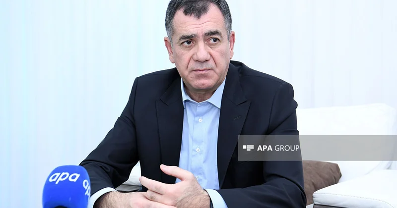 Deputat: İnsanlar hava qaralandan sonra itlərə görə böyük stress və gərginlik keçirir