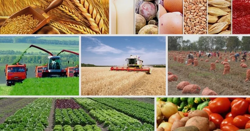 “Azərbaycanın kənd təsərrüfatı sektoru artan ixrac potensialına malikdir“ DEPUTAT DANIŞDI