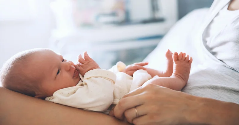 Bu il uşaqlara ən çox bu adlar verildi