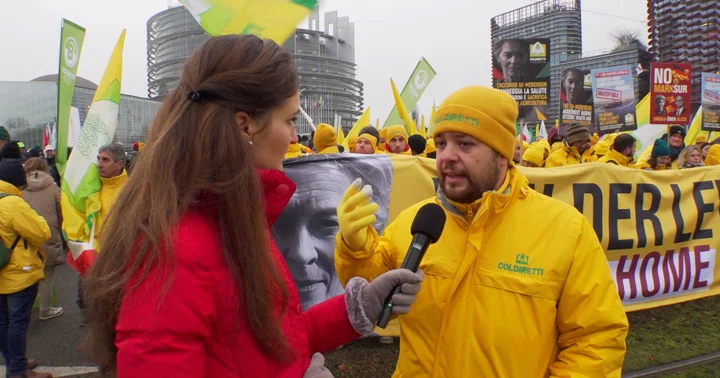 Итальянский фермер: европейские аграрии чувствуют себя брошенными