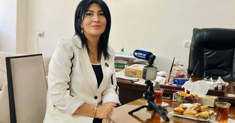 Elnarə Akimova Prezidentin “reaksiya vermirik” xəttini şərh etdi