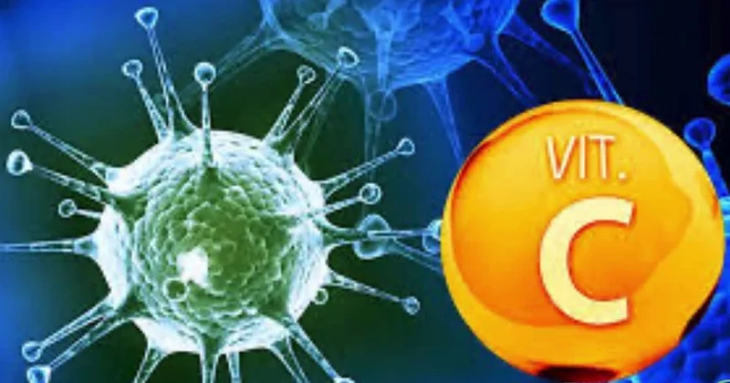 Virus əleyhinə C vitamininin rolu