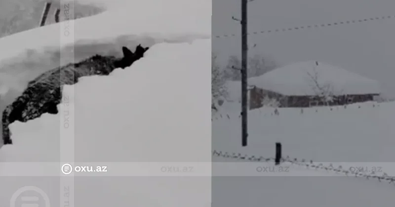 В Диголи закрыты дороги, нет света, прервана связь с районным центром: ВИДЕО
