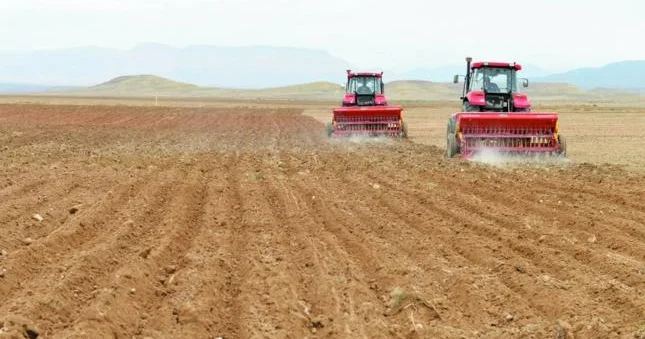 Naxçıvanda kənd təsərrüfatı istehsalı 3 faizə yaxın azalıb