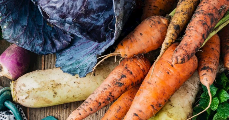 Bu il qış sərt keçdi: Məhsul bol olacaq? AÇIQLAMA