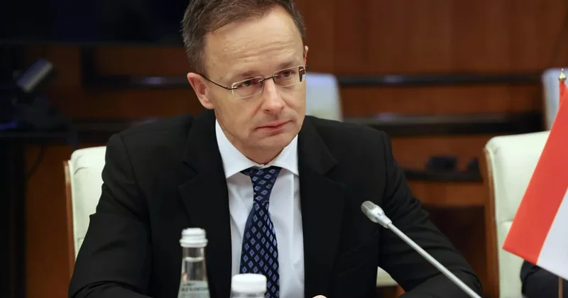 Киев вызвал венгерского посла. Будапешт возмущается