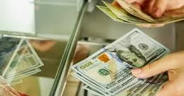 “Dolların valyuta ehtiyatlarındakı payının azalması maliyyə sabitliyinə risklər yaradır” EKSPERT DANIŞDI