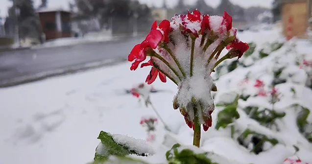 Qar nə vaxt kəsəcək?