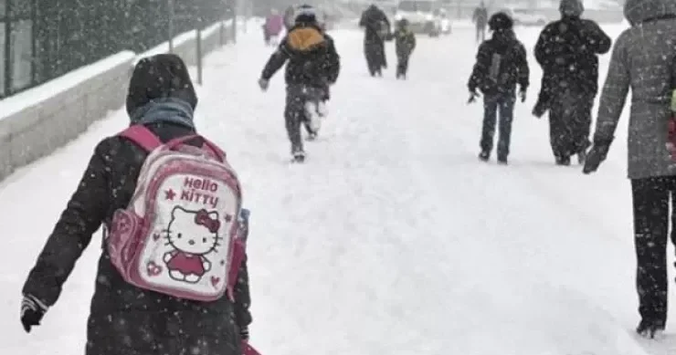 Qara görə məktəblər bağlanır? Agentlik AÇIQLADI