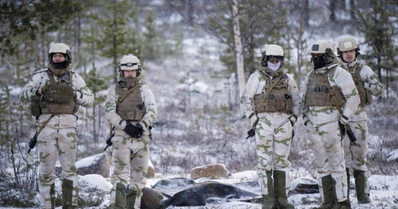 Учения НАТО в Гренландии: Париж бросил вызов Трампу