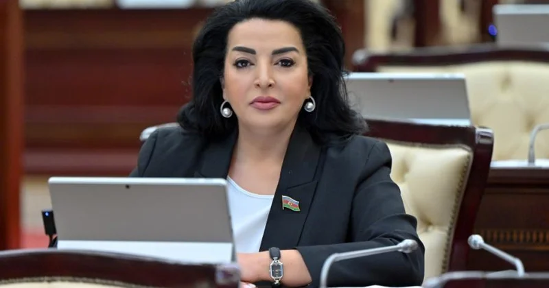 Ölkəmiz yeni beynəlxalq reallıqlarda öz yolunu müəyyənləşdirib Millət vəkili