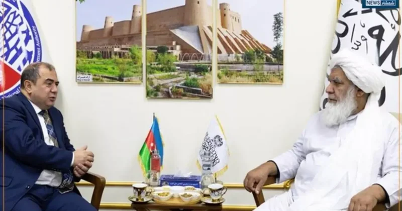 Баку и Кабул обсудили вопросы разминирования