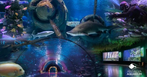 Antalyanın tematik parkları bu qış və yazda da qonaqlarını gözləyir FOTOLAR