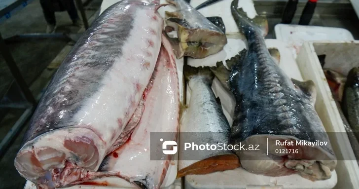 Квотирование рыбного промысла в Азербайджане и новые пошлины: как это отразится на ценах