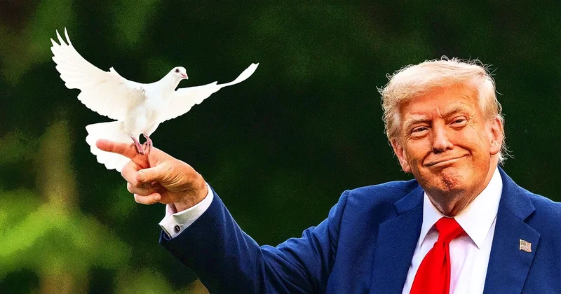 Tramp sülh güyərçini deyil, reallıq fərqlidir TƏHLİL